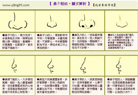 鼻子看面相|面相入门